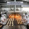 Infrared Burners for Food Processing Plants in Vietnam