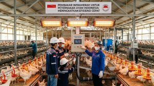 Infrared Burners for Poultry Farms in Indonesia: Boost Efficiency Fast