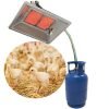 Infrared Burners for Poultry Farms in Indonesia