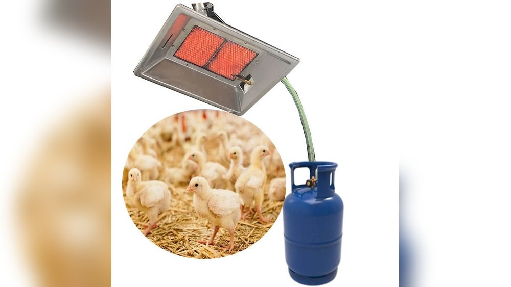 Infrared Burners for Poultry Farms in Indonesia: Boost Efficiency Fast